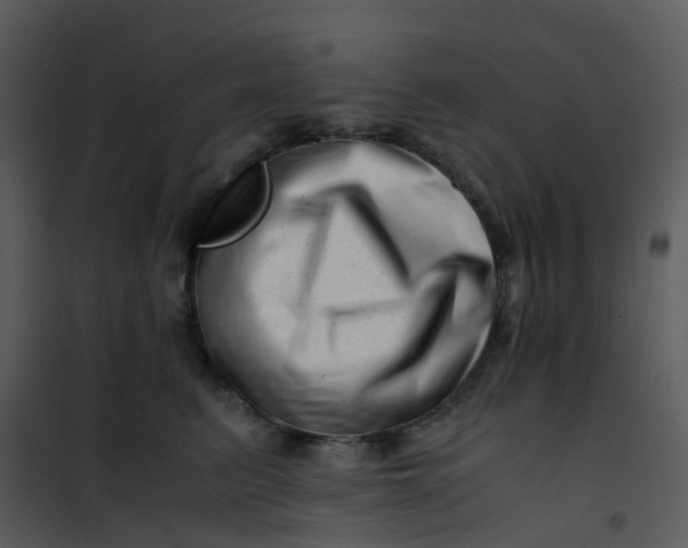 X0000101170615200807181425