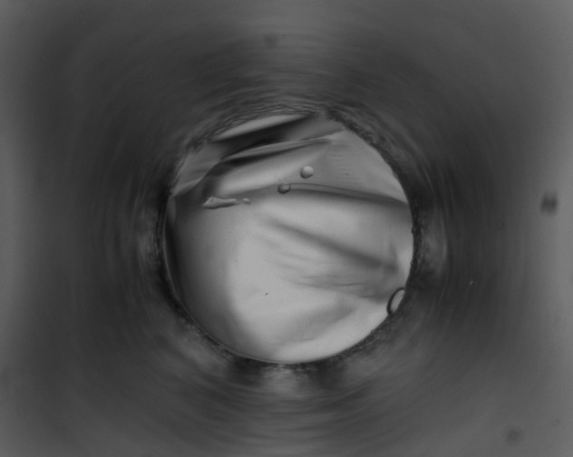 X0000101170616200807181425