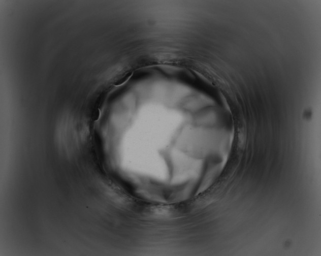 X0000101170618200807181425