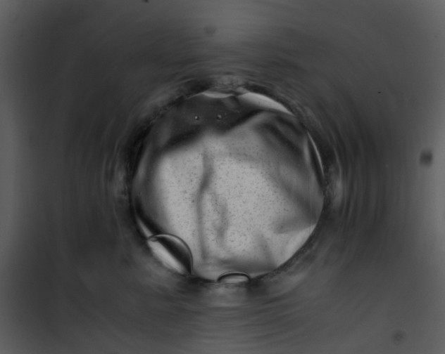 X0000101170619200807181425
