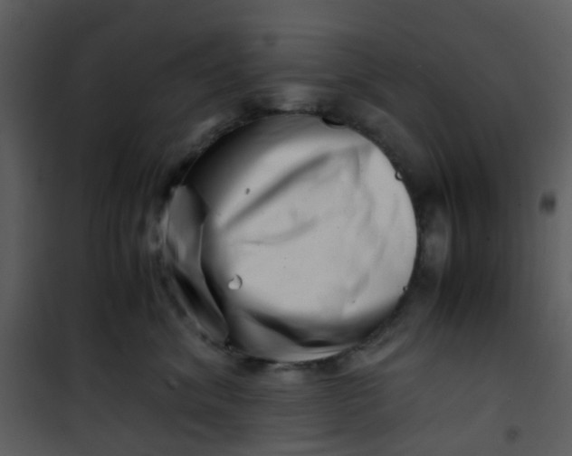 X0000101170620200807181425