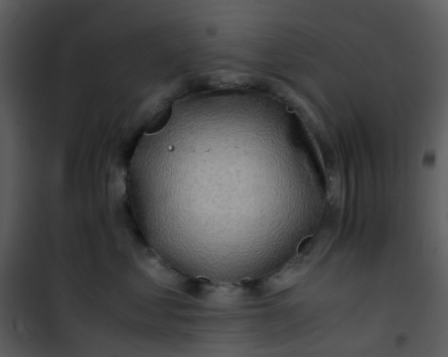 X0000101170621200807181425