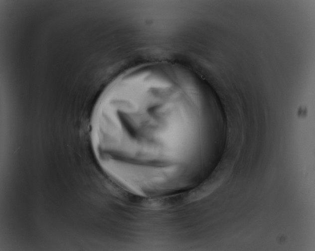 X0000101170624200807181425