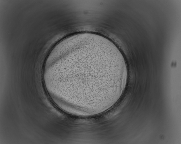 X0000101170625200807181424