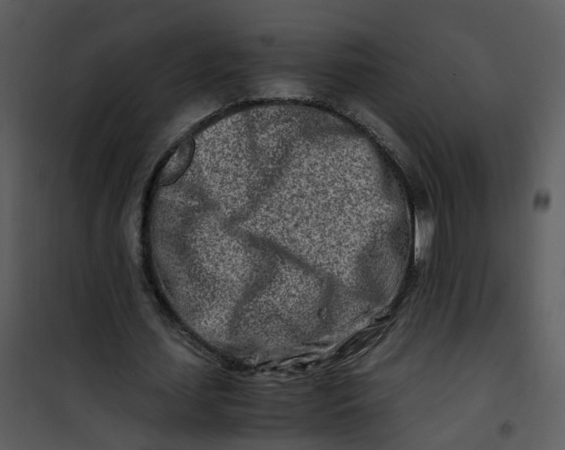 X0000101170627200807181424