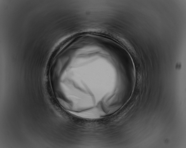 X0000101170628200807181424