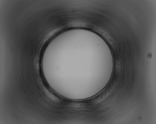 X0000101170629200807181424