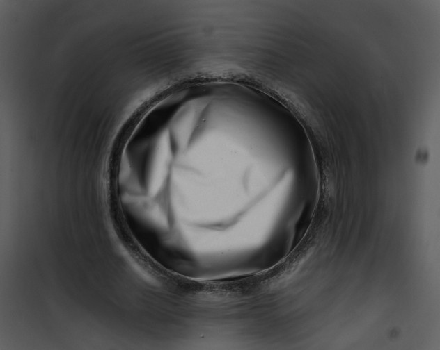 X0000101170630200807181424