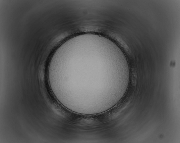 X0000101170631200807181424