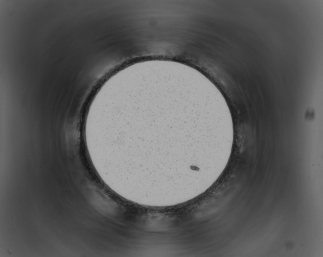 X0000101170632200807181424