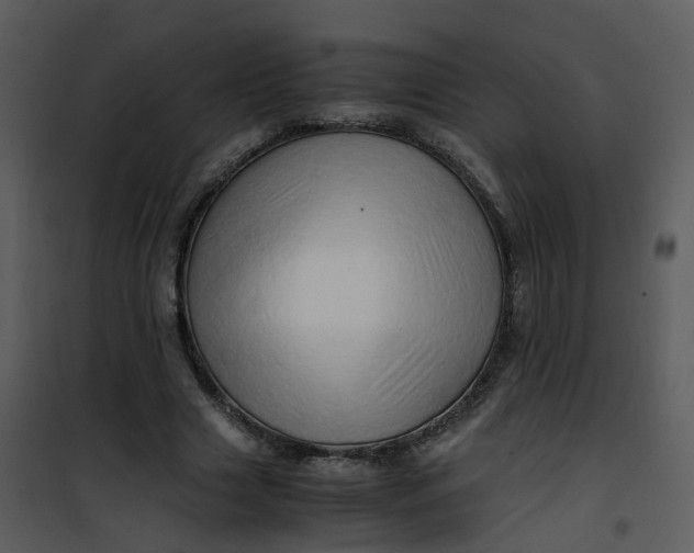 X0000101170633200807181424