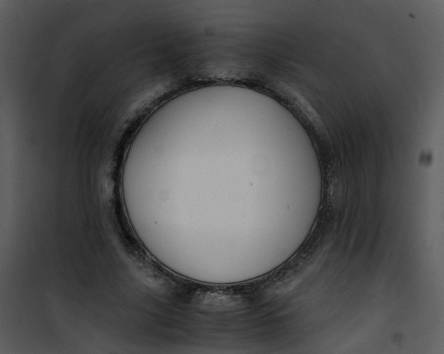 X0000101170635200807181424