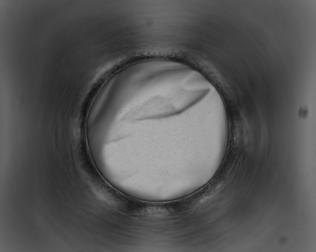 X0000101170636200807181424