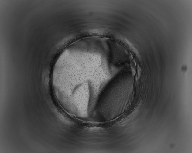 X0000101170637200807181424