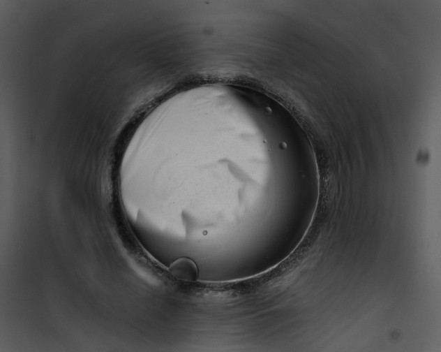 X0000101170638200807181424
