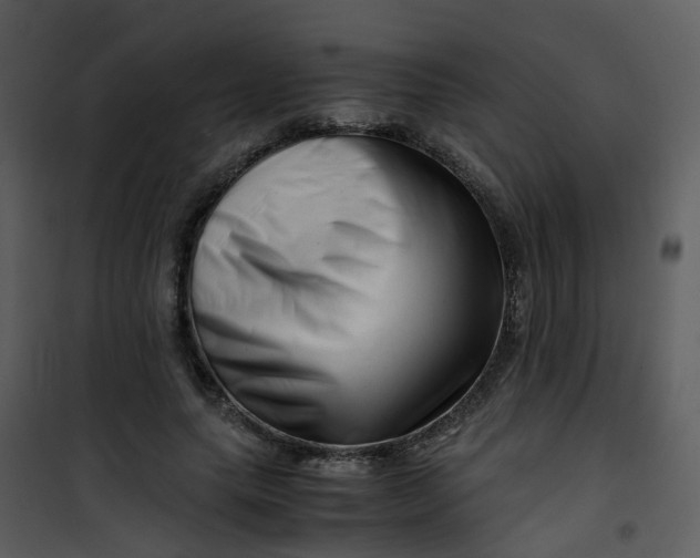 X0000101170639200807181424