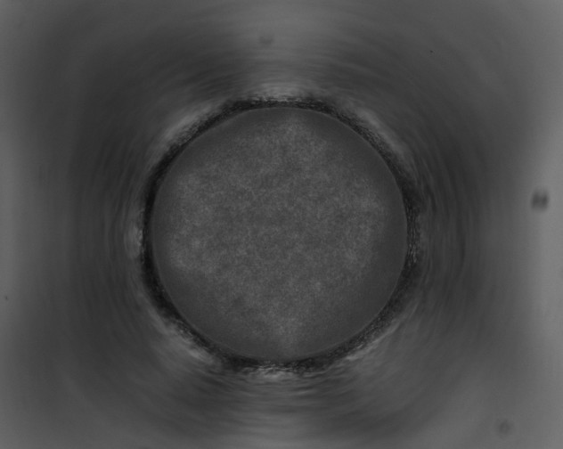 X0000101170640200807181424
