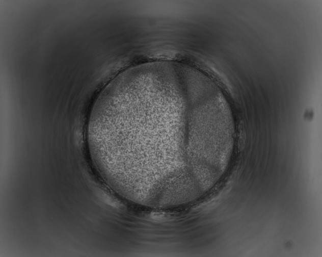 X0000101170641200807181424