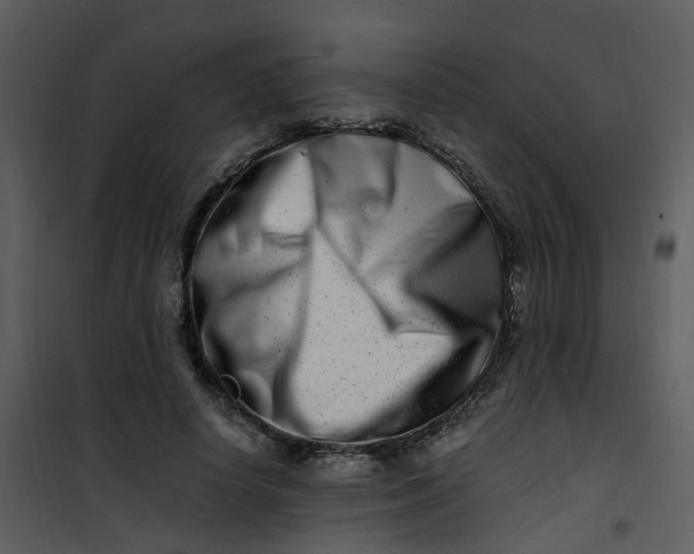 X0000101170642200807181424