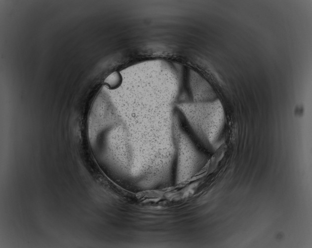 X0000101170643200807181424