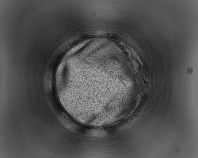X0000101170644200807181424
