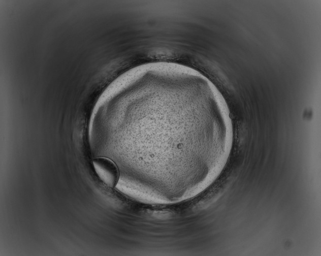 X0000101170645200807181424