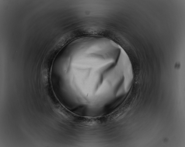 X0000101170646200807181424