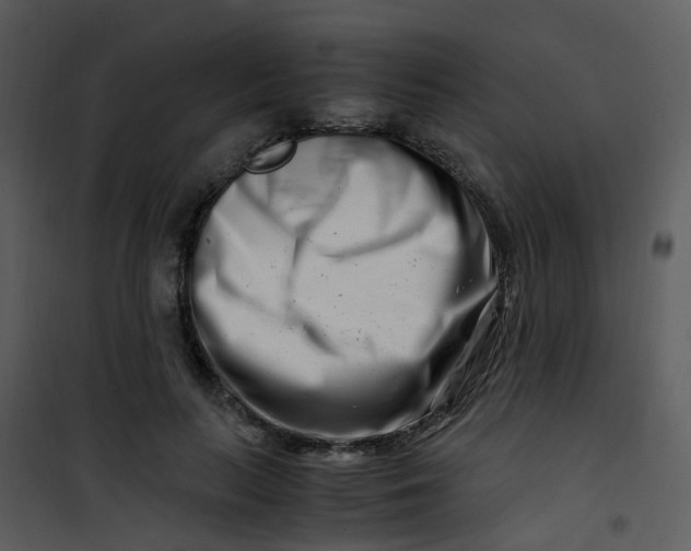 X0000101170647200807181424