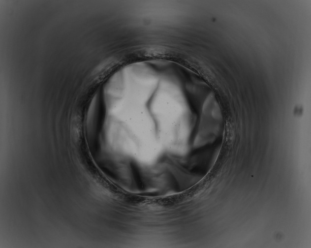 X0000101170648200807181424