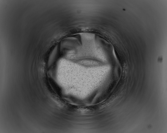 X0000101170650200807181424