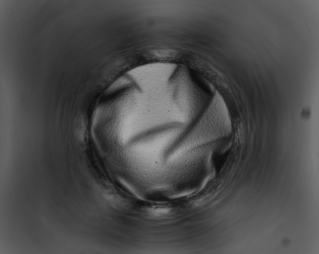 X0000101170651200807181424