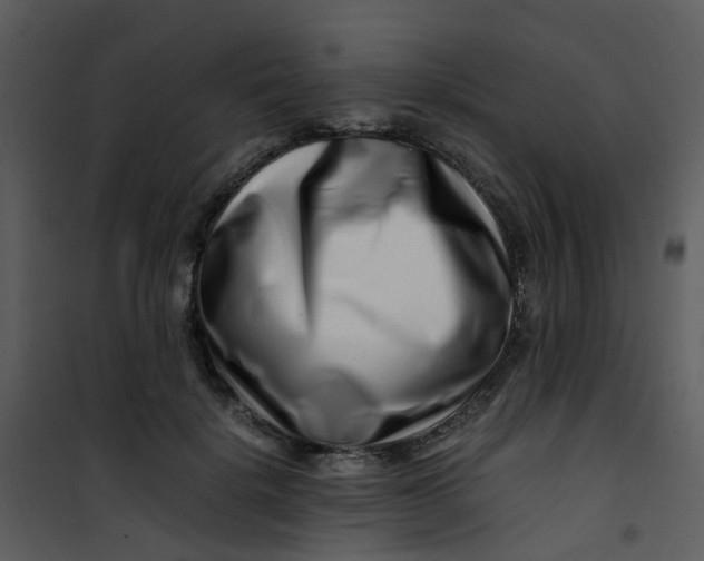 X0000101170652200807181424