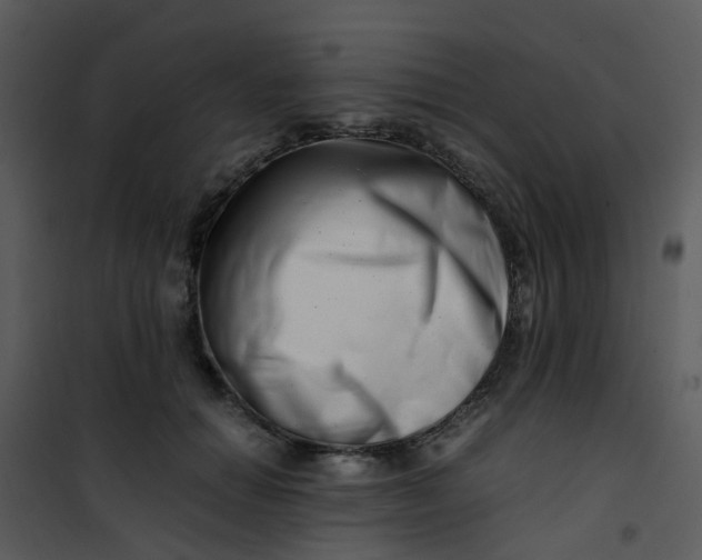 X0000101170654200807181424