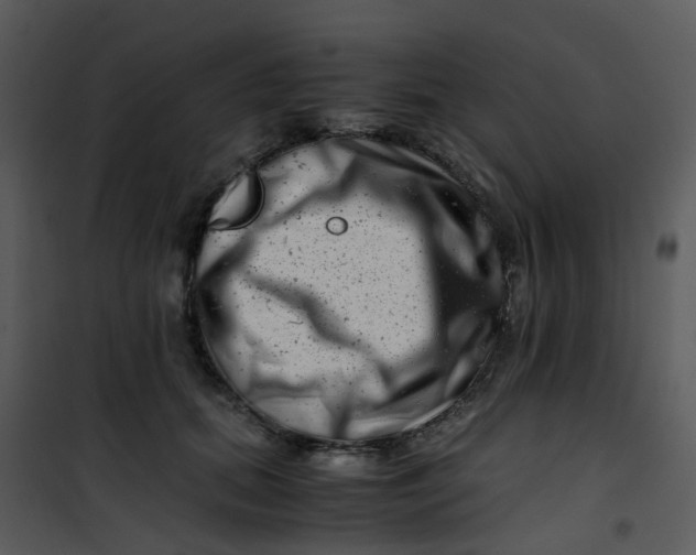 X0000101170655200807181424
