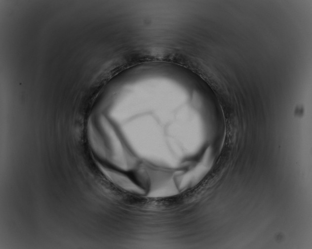 X0000101170656200807181424