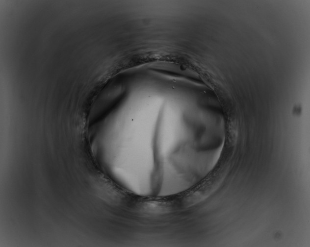 X0000101170657200807181424