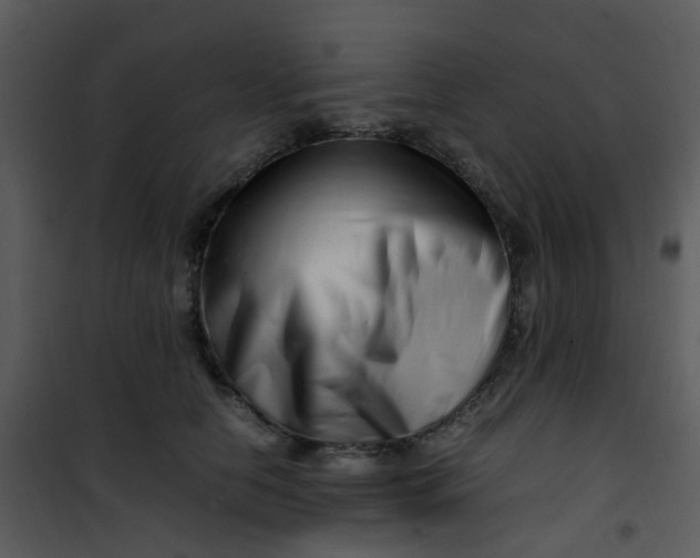 X0000101170658200807181424