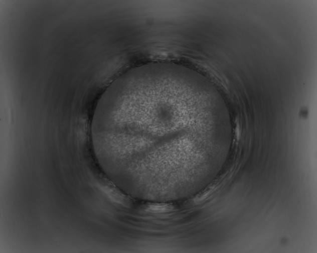 X0000101170659200807181424