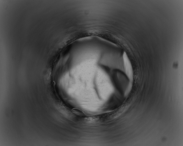 X0000101170660200807181424