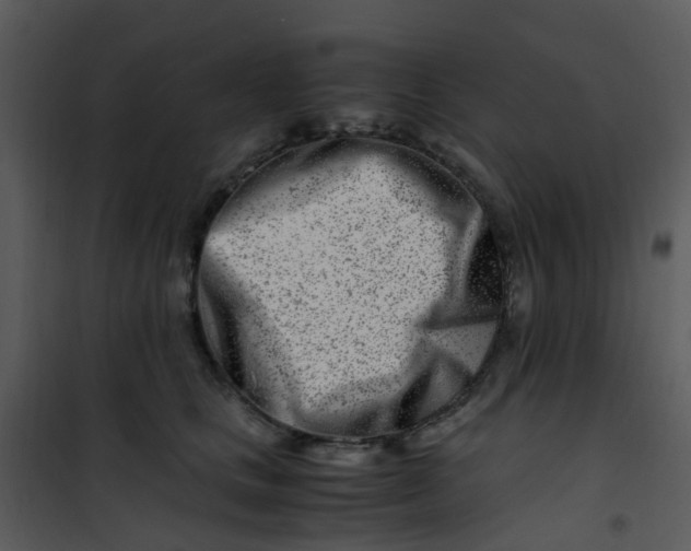 X0000101170661200807181424