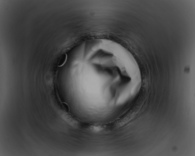 X0000101170662200807181424