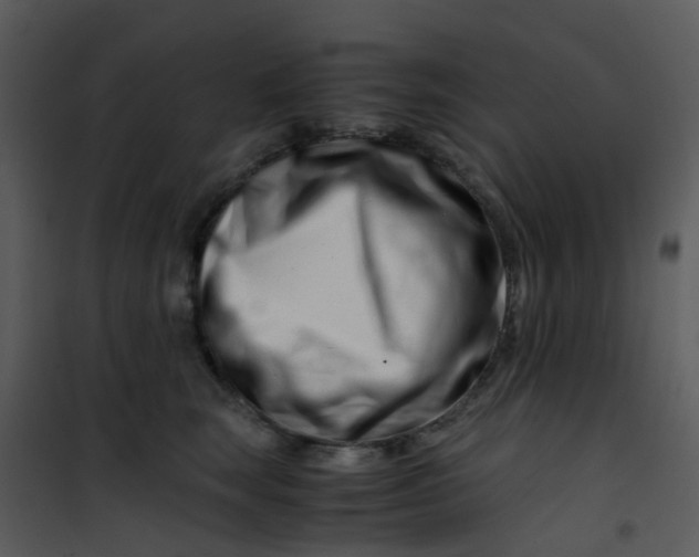 X0000101170663200807181424
