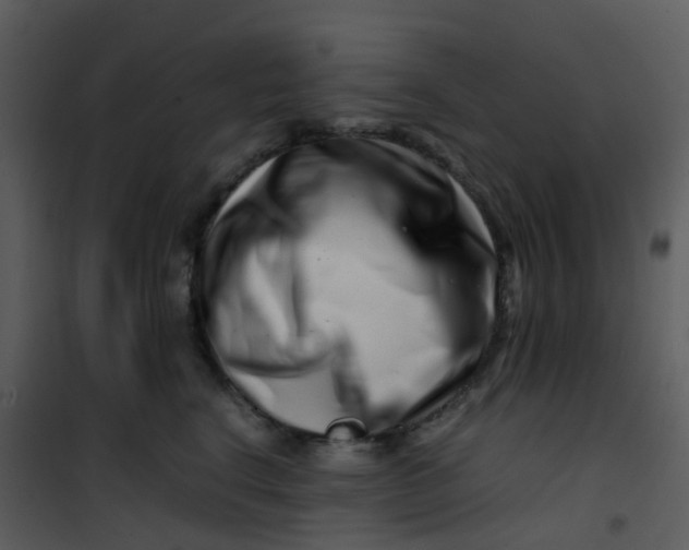 X0000101170664200807181425