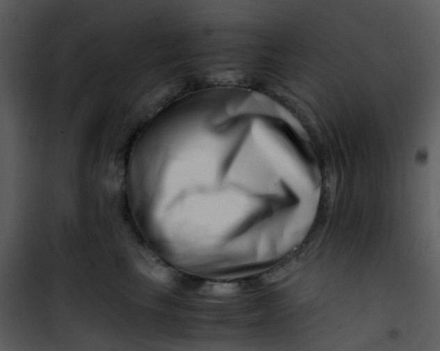 X0000101170665200807181425