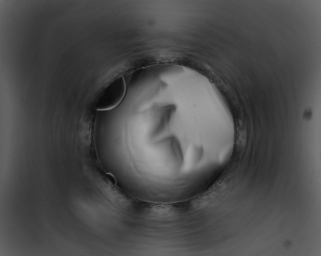 X0000101170666200807181425