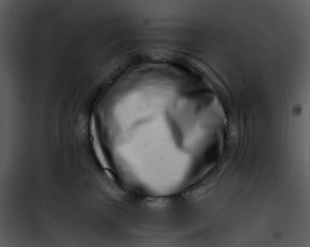X0000101170667200807181425