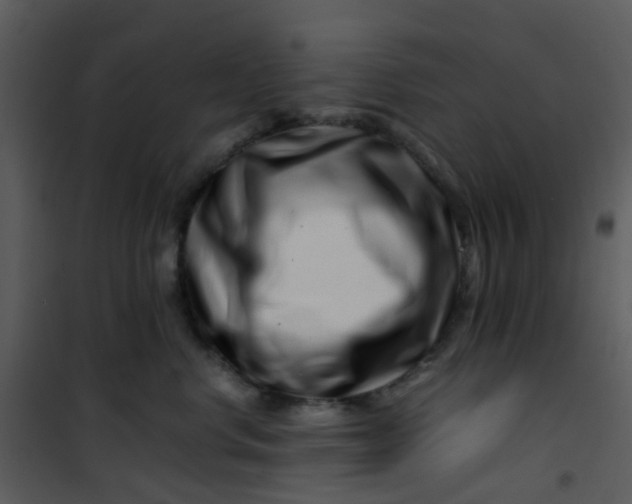 X0000101170668200807181425