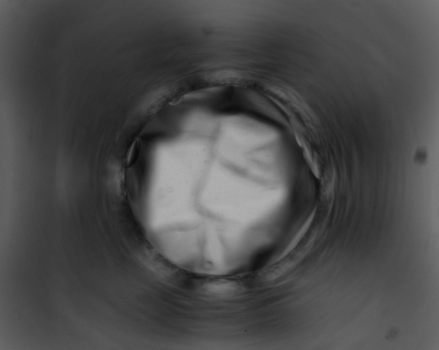 X0000101170669200807181425