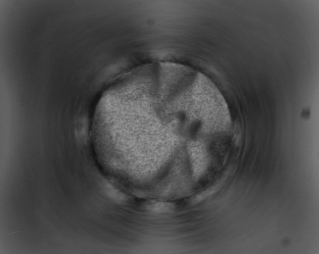 X0000101170670200807181425