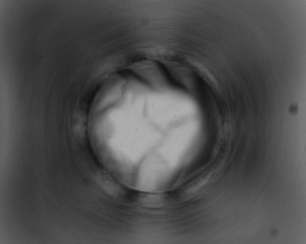 X0000101170671200807181425
